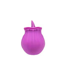 Rose Vibrator Egg For Women Clitoris Suction Stimul Nipple Vagina Sucker Dildo Masturbators Sex Toys For Adults 18 Masturbator